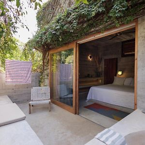 Suite con Cama King